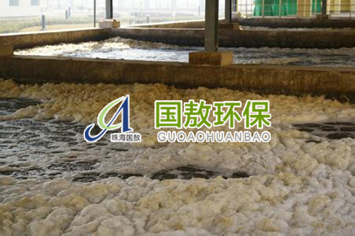 污水處理|污泥膨脹問題，解決方案與工藝建議